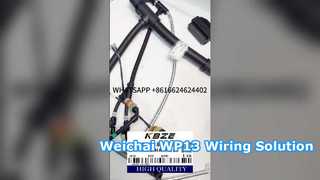 دسته سیم کشی موتور WEICHAI WP13 KBZE 1006889780 برای کامیون کمپرسی ماینینگ LGMG SANY XCMG TONLY